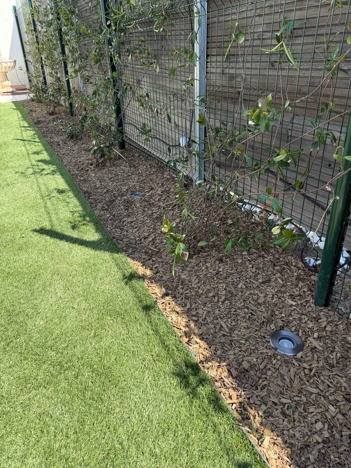 Garden flower bed with an invisible in-ground recessed spot in the wood mulch, along a border of synthetic lawn and a planted trellis fence